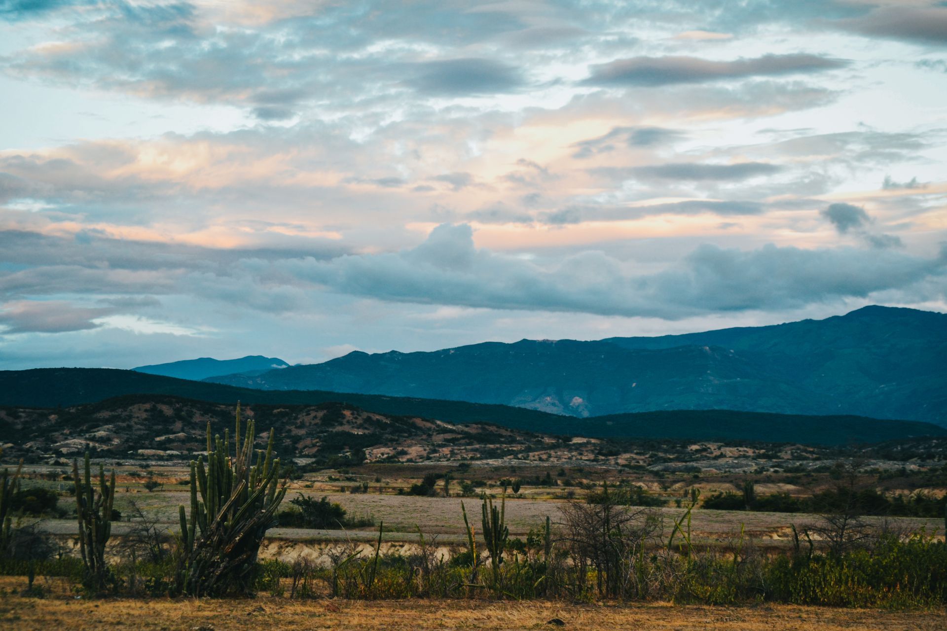 a desert landscape with mountains in the background and a cloudy sky