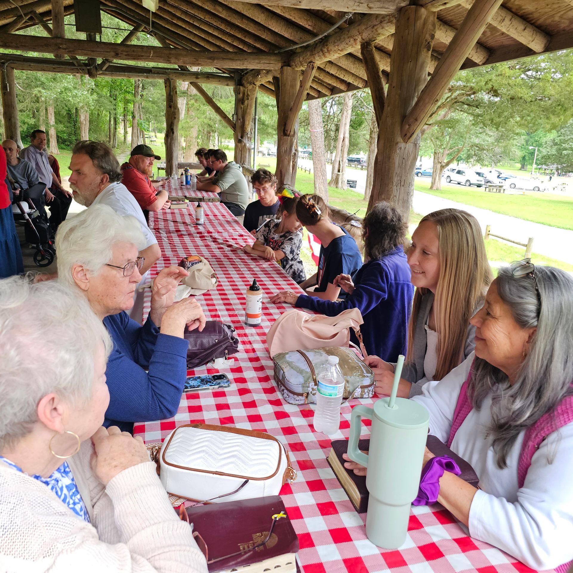 Cove Lake picnic