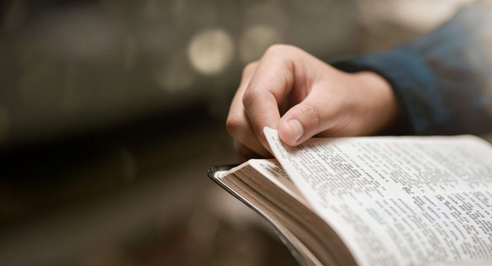 Bible