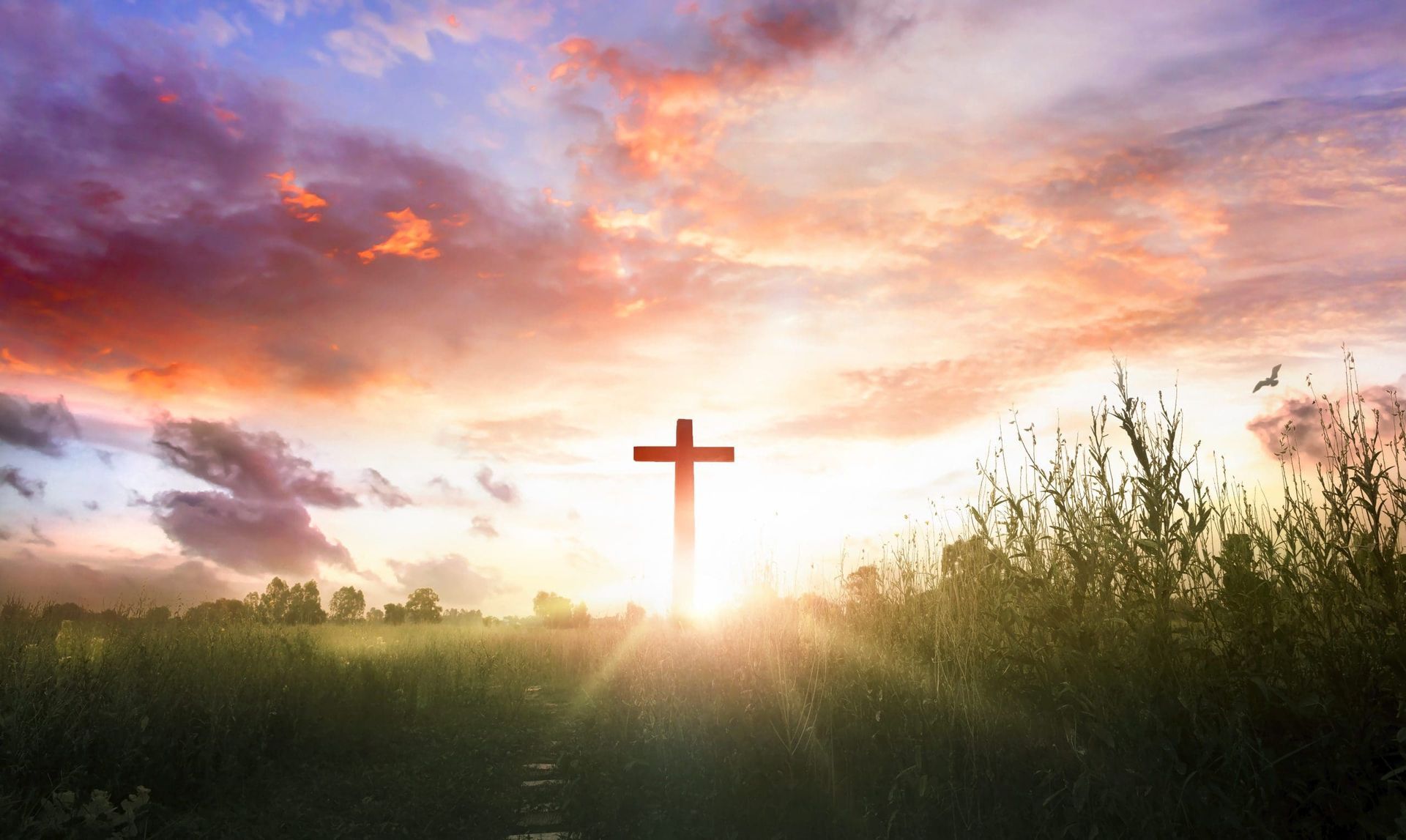 Stock image of the cross