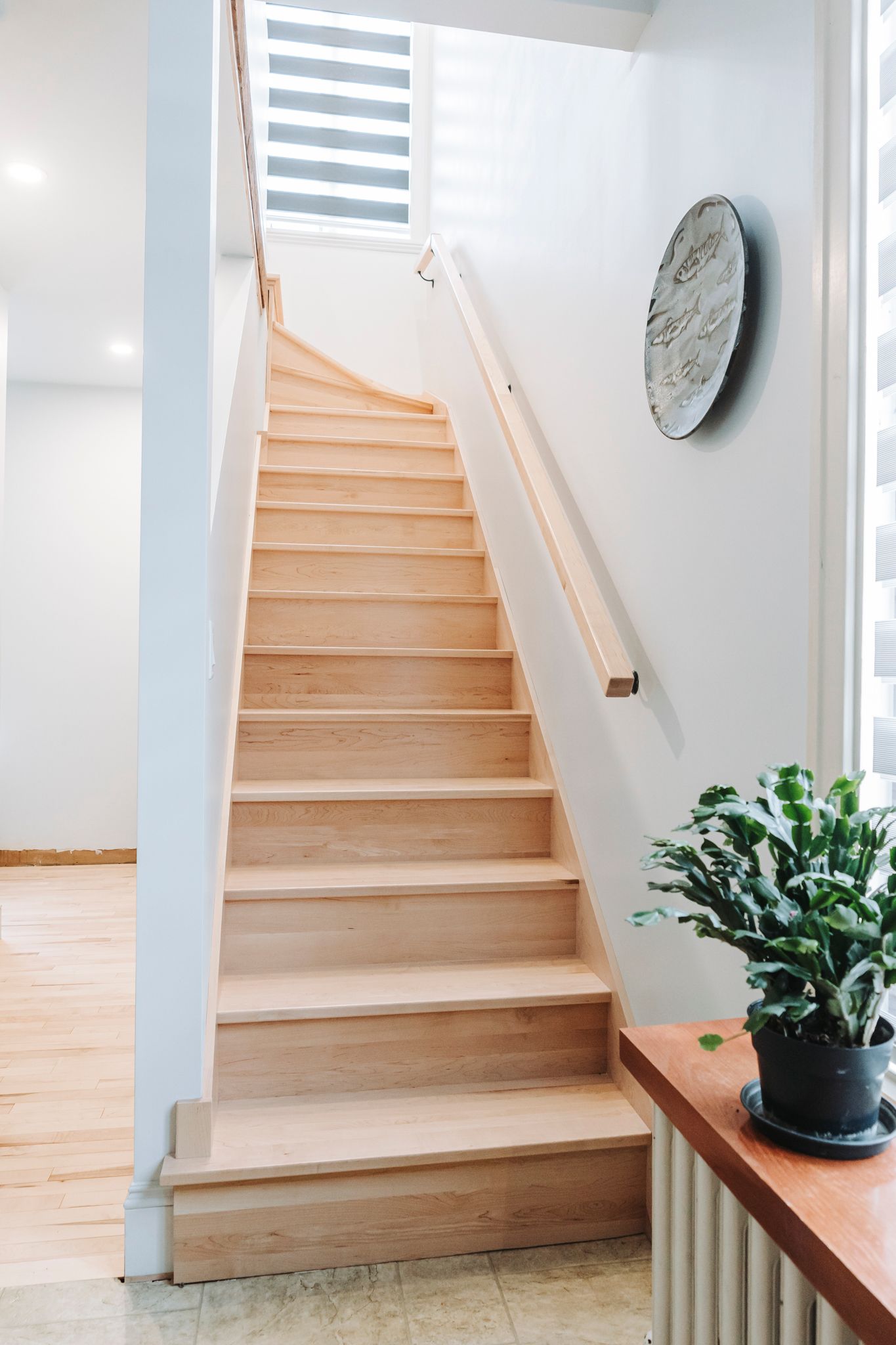 Escalier en bois avec marches claires et rampe menant vers le haut. Une plante trône à proximité.