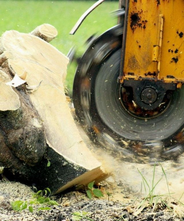 stump grinding