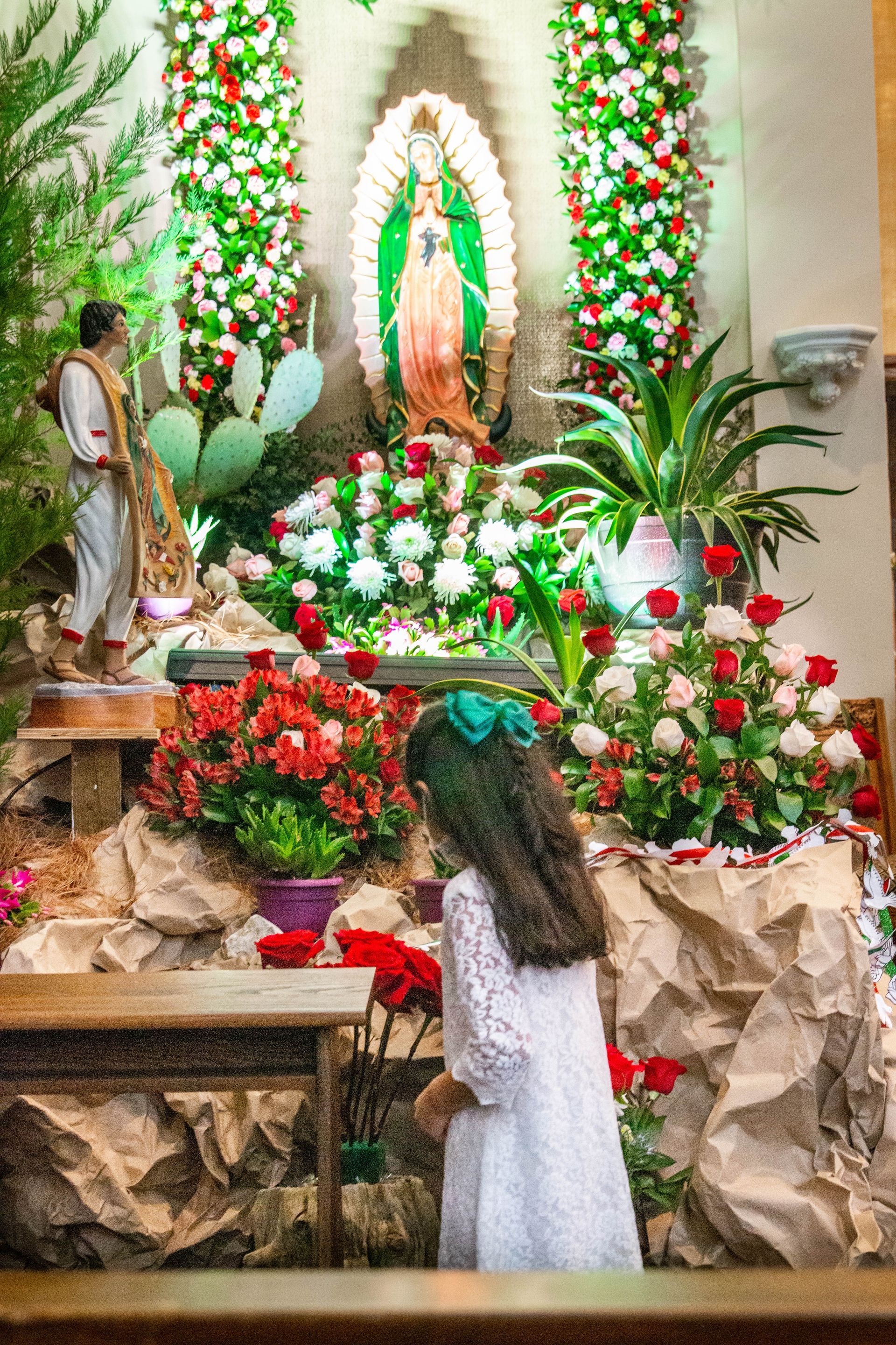 our lady Guadalupe img