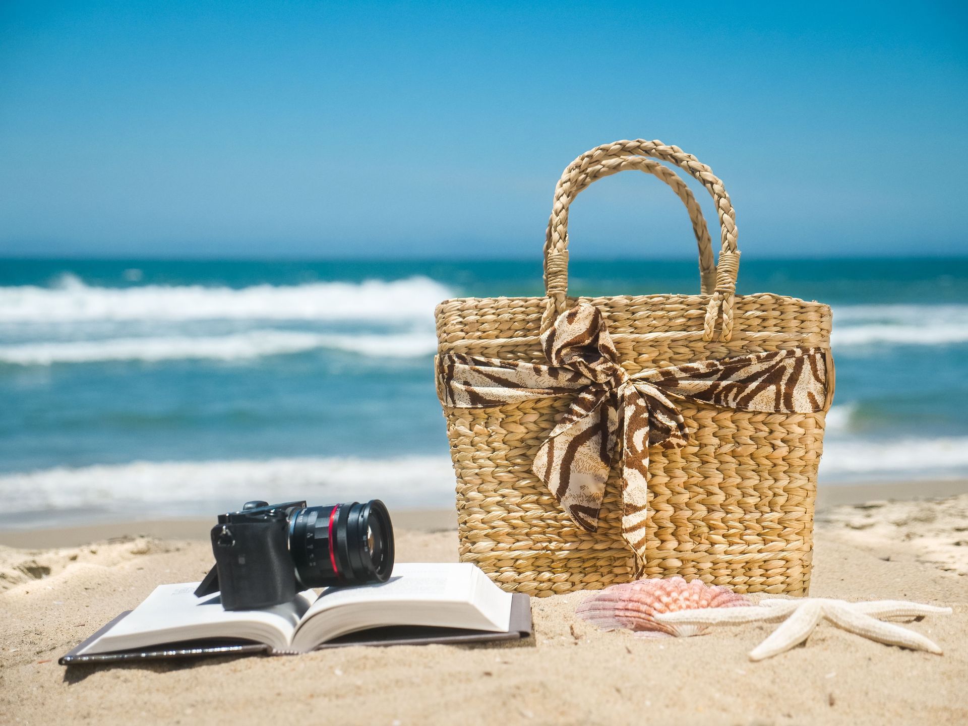 Collection of designer bags and totes