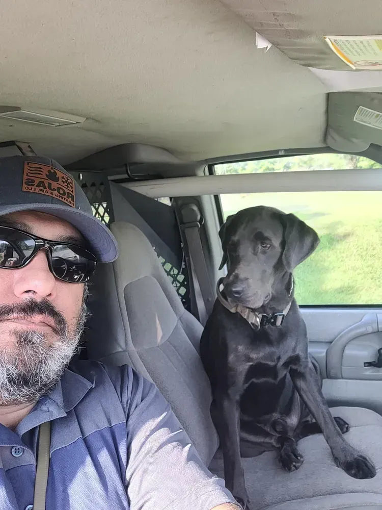 Man and large gray dog in a vehicle. Man wears hat and sunglasses. Dog sits on seat.