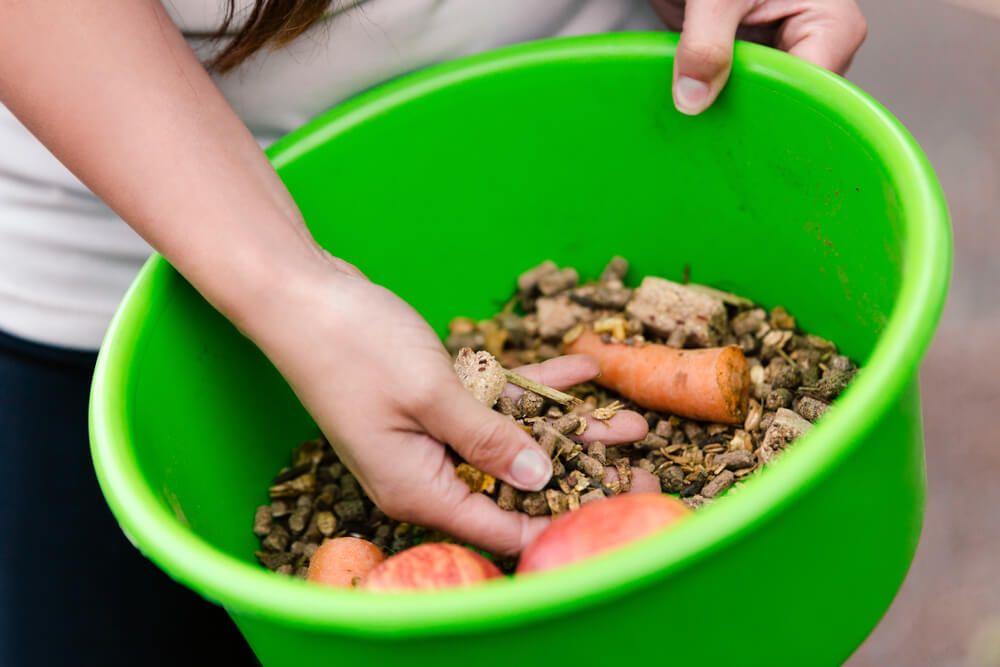 A Person Is Holding a Green Bowl Filled with Food — Hazells Farm & Fertilizer Services in Taminda, NSW