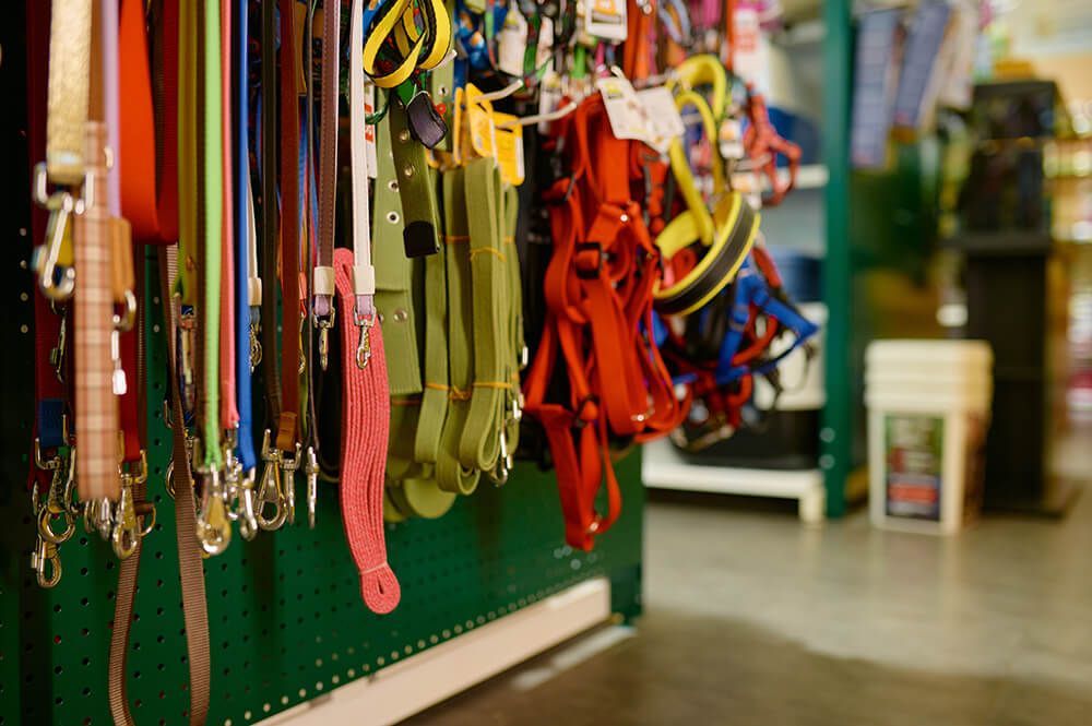 A Bunch of Dog Leashes Are Hanging on A Wall in A Store — Hazells Farm & Fertilizer Services in Taminda, NSW
