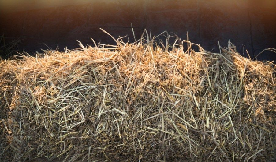 A Pile of Hay Is Sitting on Top of A Pile of Hay — Hazells Farm & Fertilizer Services in Taminda, NSW