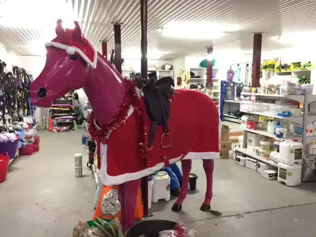 A Pink Horse with A Red Blanket and Saddle in A Store — Hazells Farm & Fertilizer Services in Taminda, NSW