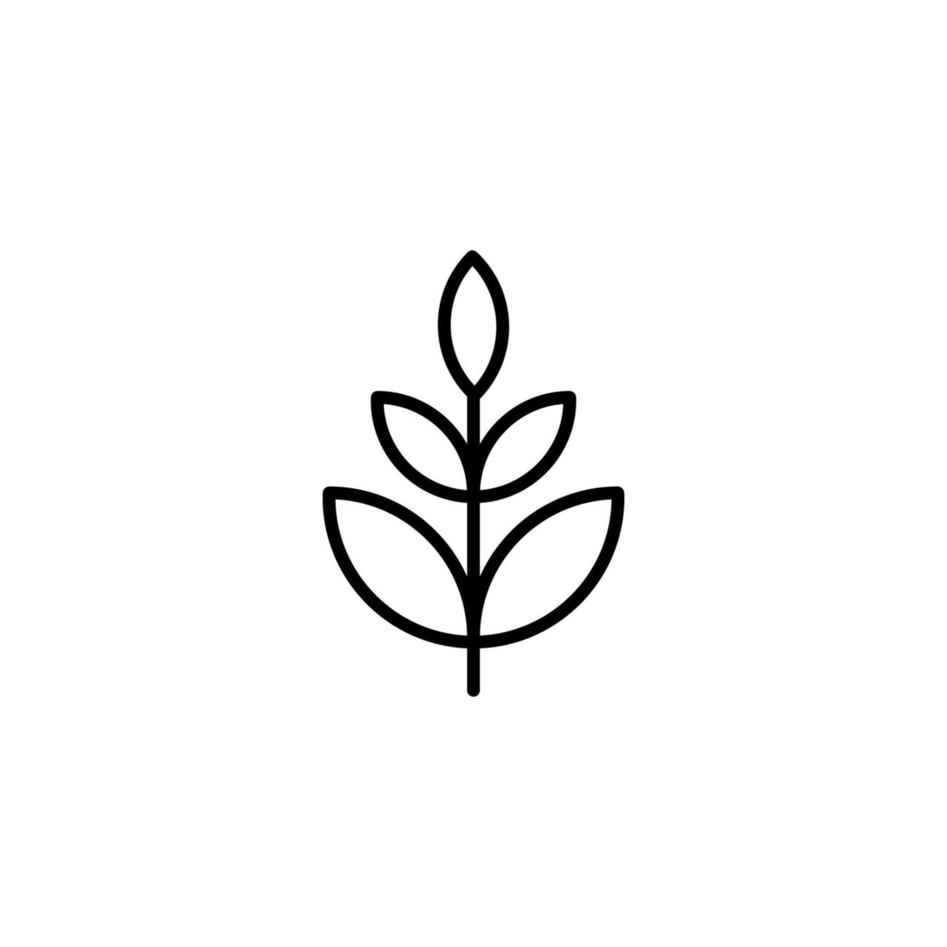 Minimal black outline icon of a plant with three leaves and a central stem on a white background
