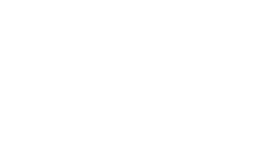 Elevation Inspections logo