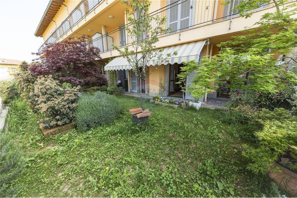giardino con piante