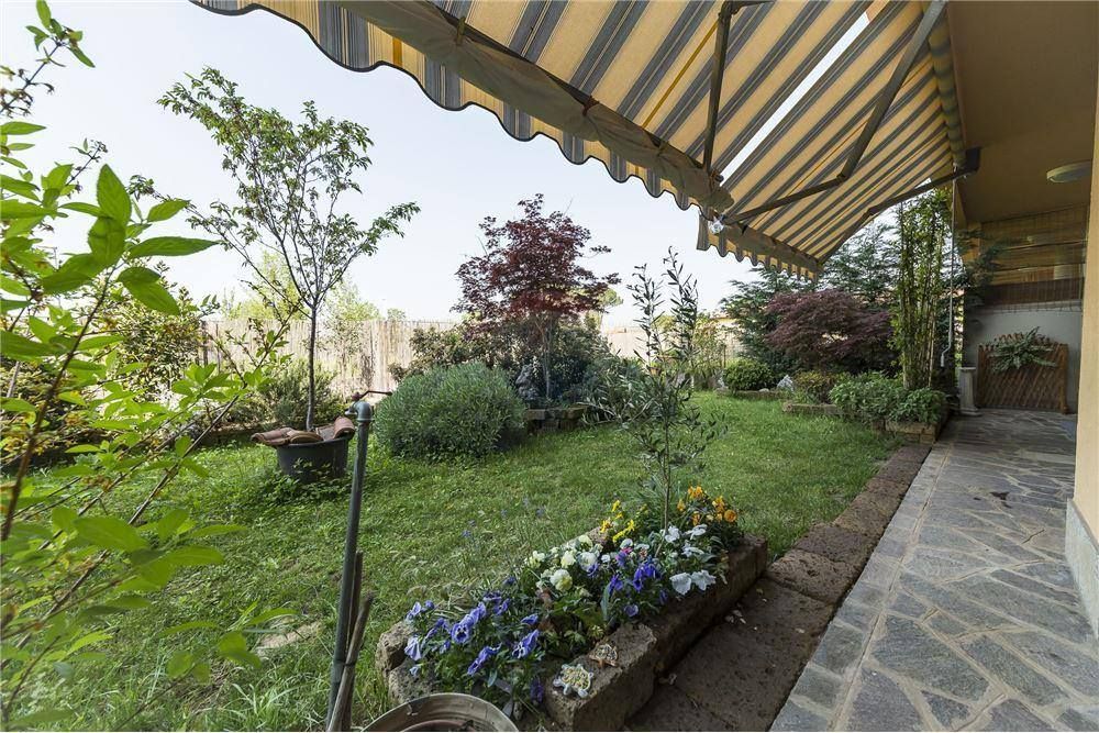 piante da giardino