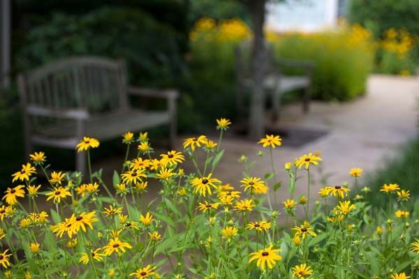 MorningView Village outside garden path