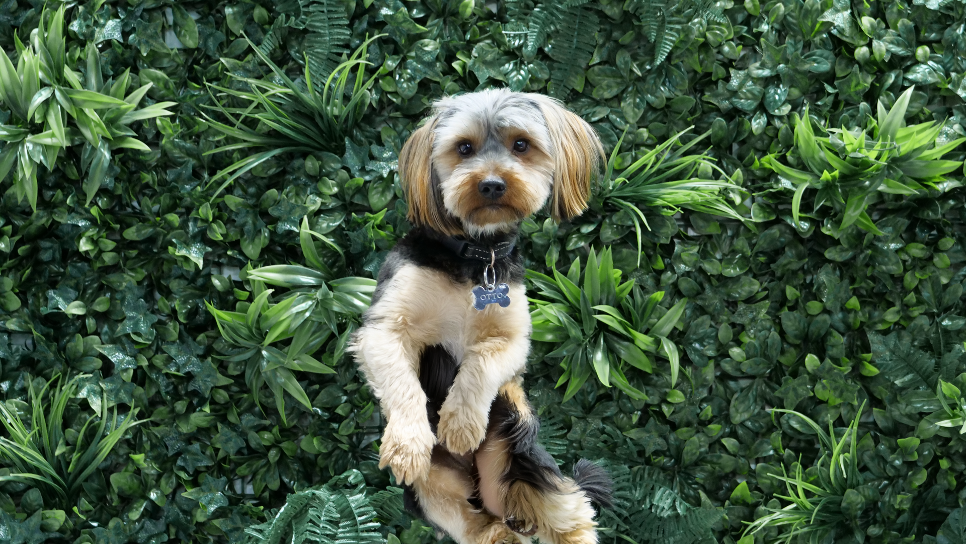 otto at all weather leisure