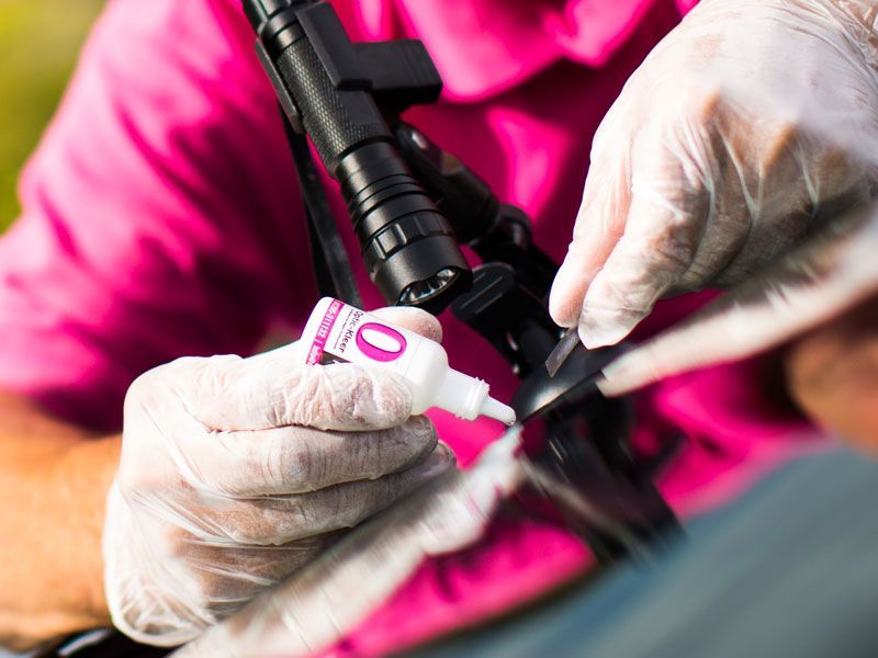 Windshield repair in Osprey, FL Windshield repair in Osprey, FL