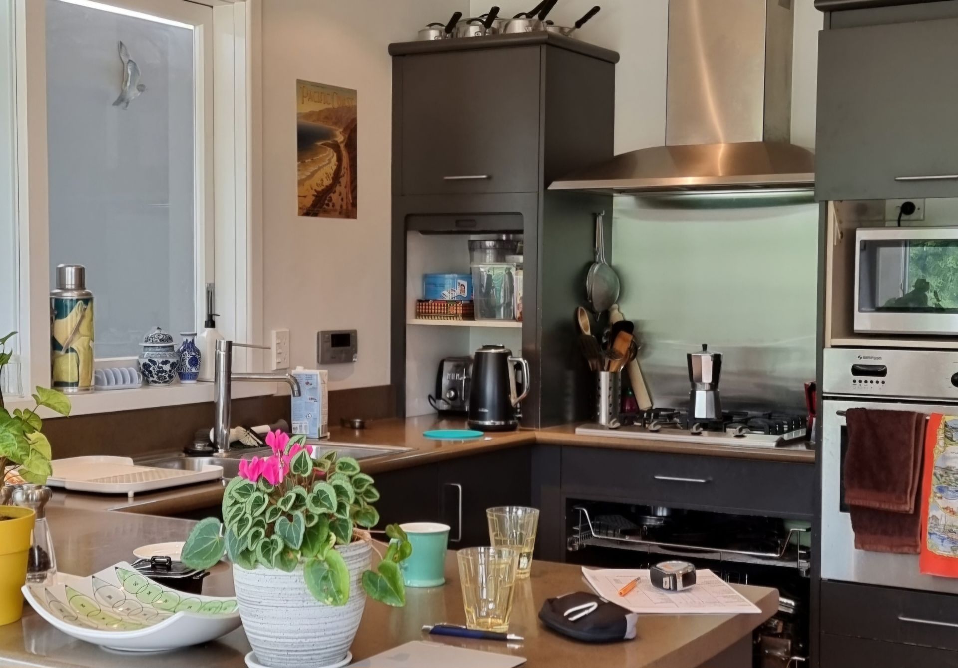 A kitchen with a potted plant on the counter