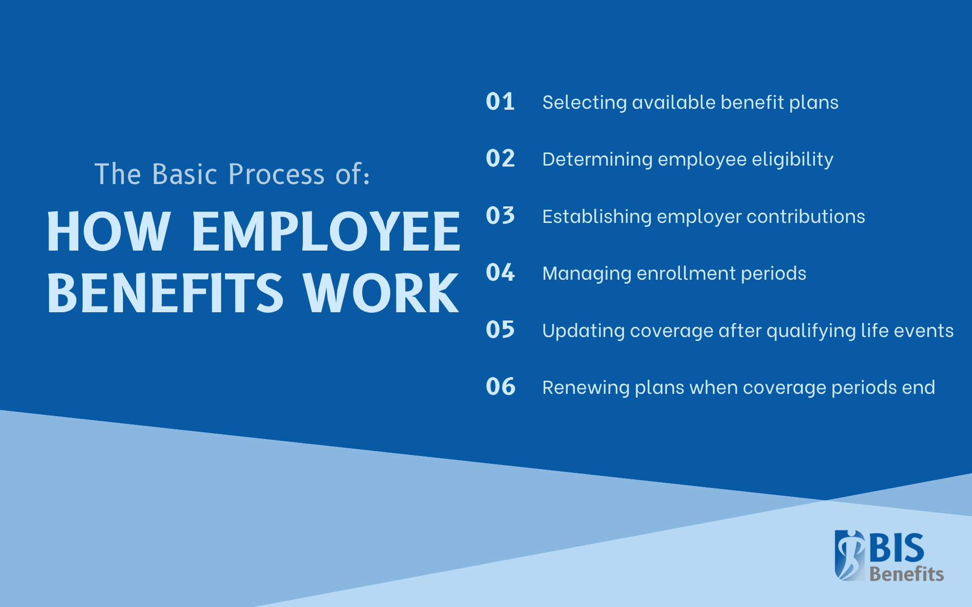 The Basic Process of How Employee Benefits Work Infographic