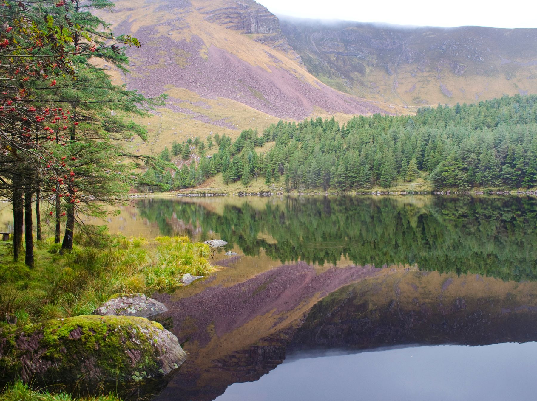 Lynn_Parr_Gleanteenassig_Ireland