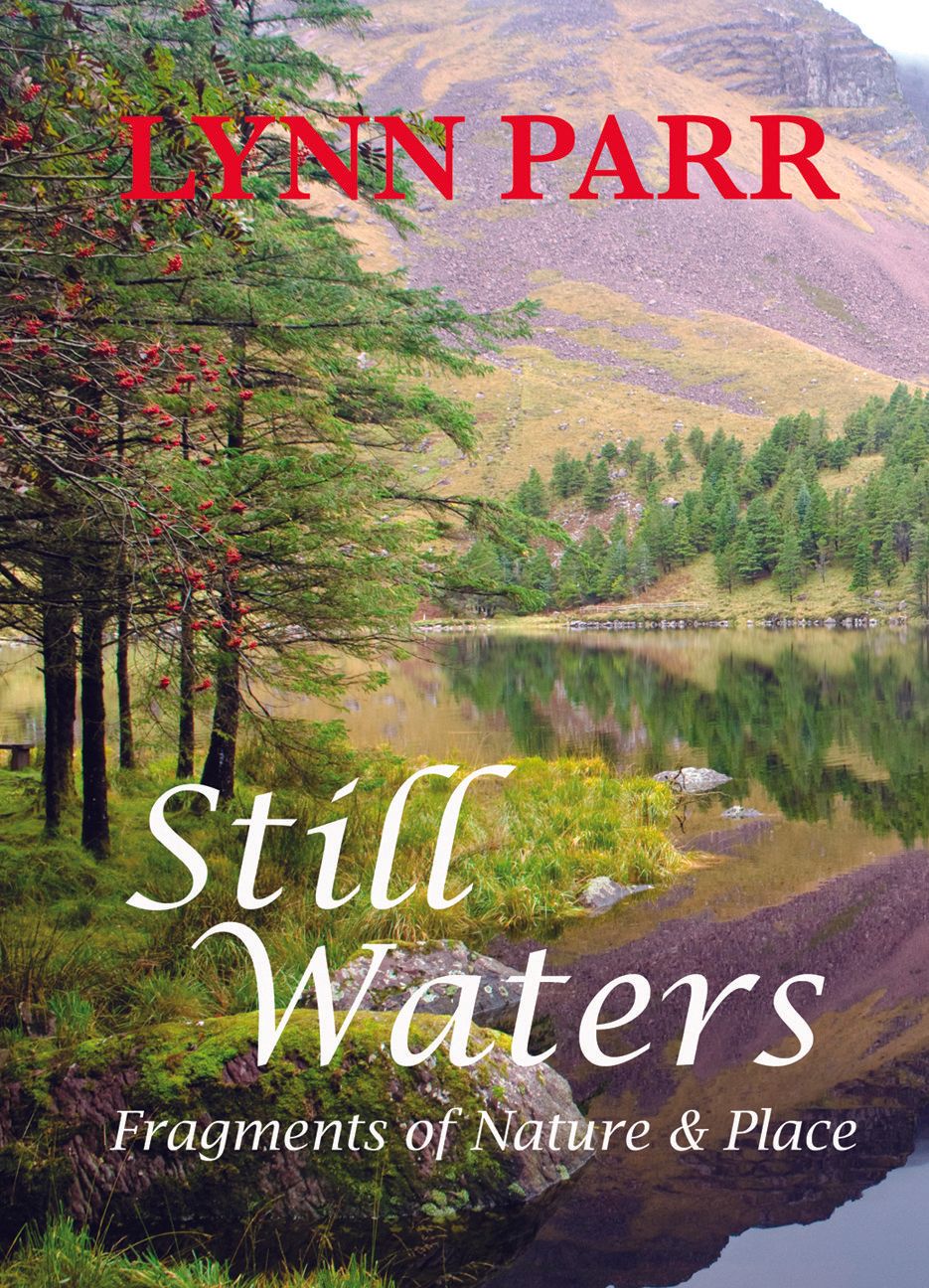 lynn_parr_still_waters