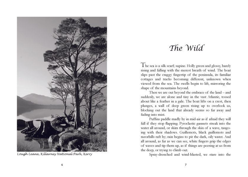 lynn_parr_still_waters_sample