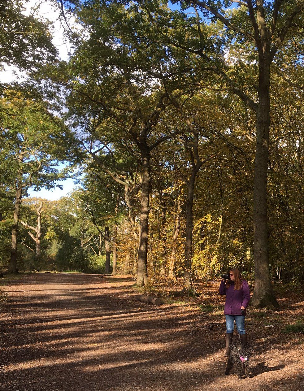 lynn_parr_hockley_woods