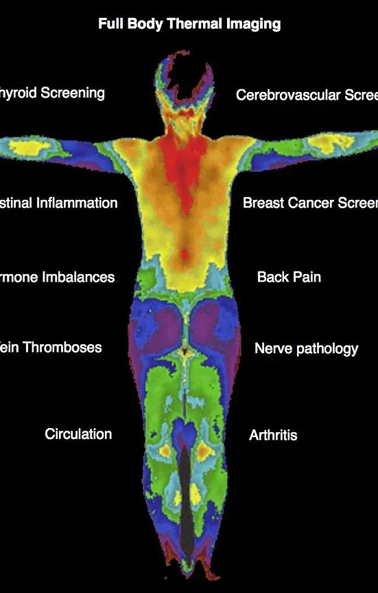 A full body thermal imaging of a person 's body
