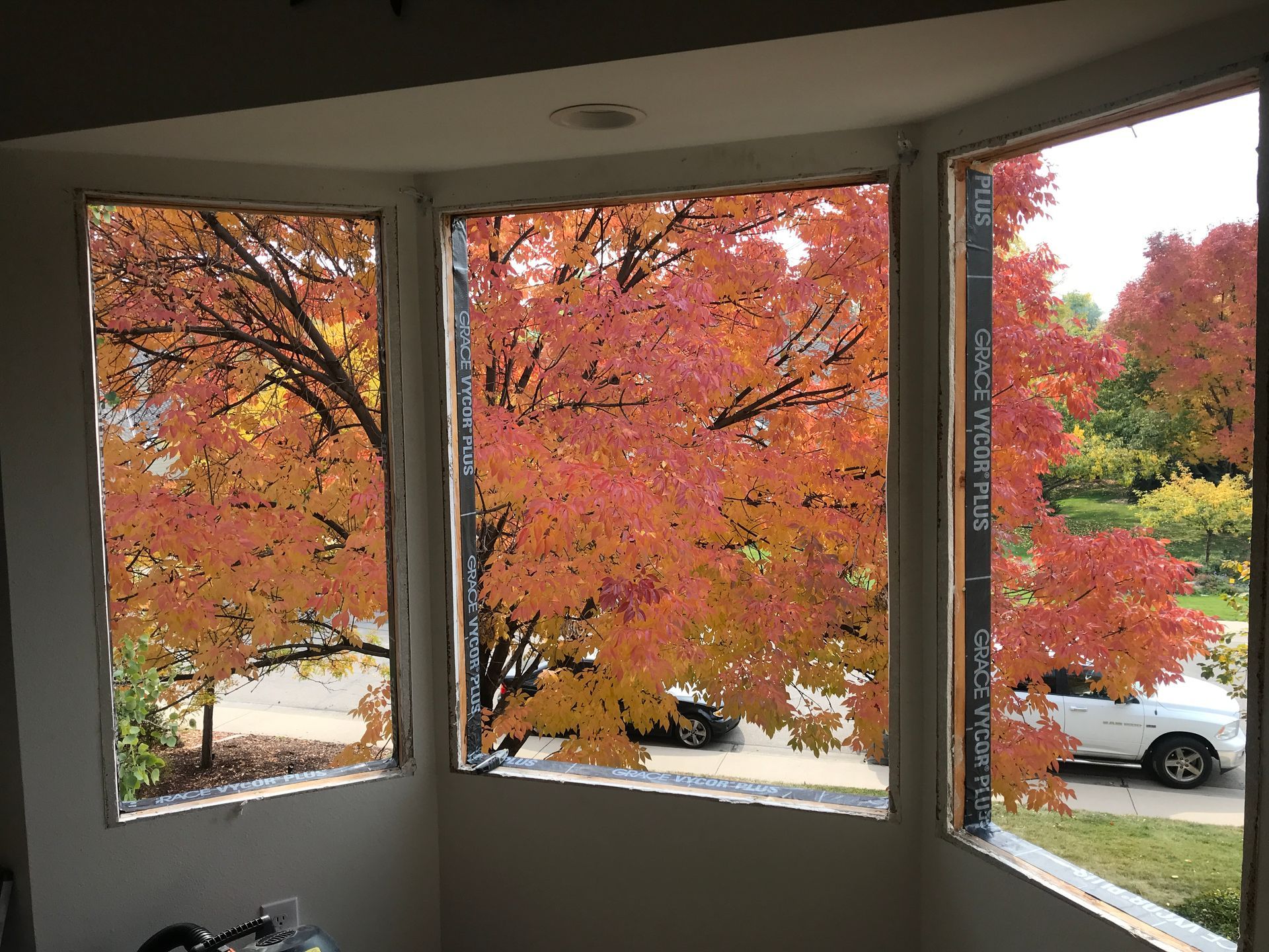 A room with three windows and a tree in the background.