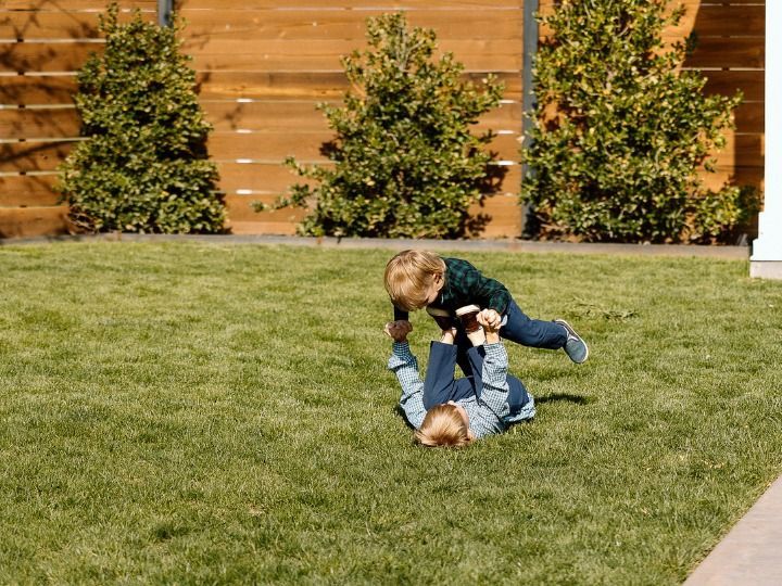 Two children play wrestling on a grassy lawn in front of a wooden fence and shrubs.