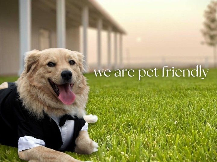 Golden retriever in a tuxedo sitting on grass with “we are pet friendly” text in the background