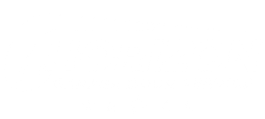 Mostly white blank image with a faint light-blue line near the bottom right