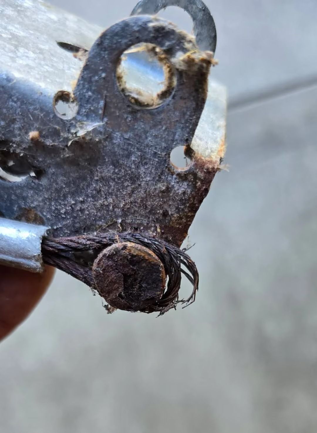 Rusty metal latch with a broken spring and corroded hinge close-up