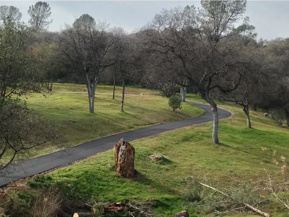 A paved path winds through a green, grassy hillside dotted with bare trees under a cloudy sky. A paved path winds through a grassy, tree-filled landscape on a bright day.