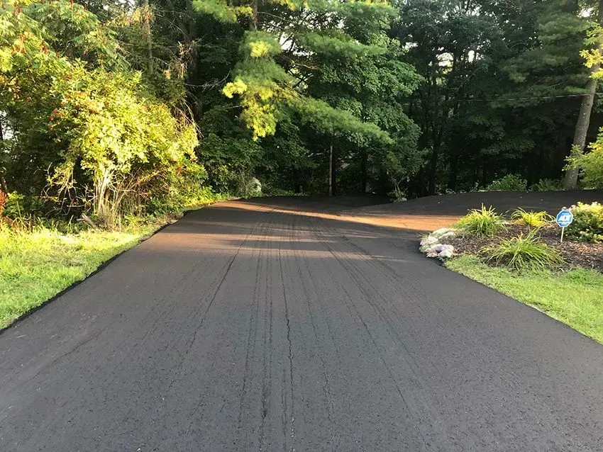 A freshly paved, dark asphalt driveway curves gently through a sunlit, tree-lined landscape with lush green grass. A freshly paved black asphalt driveway curves through a lush, green wooded area.