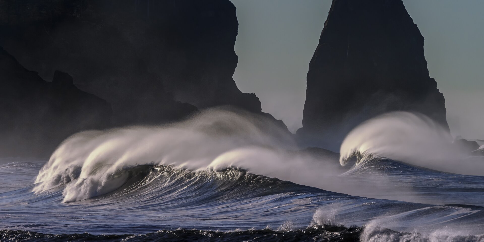 FourWave Medical Communications and Consultancy - incoming wave image