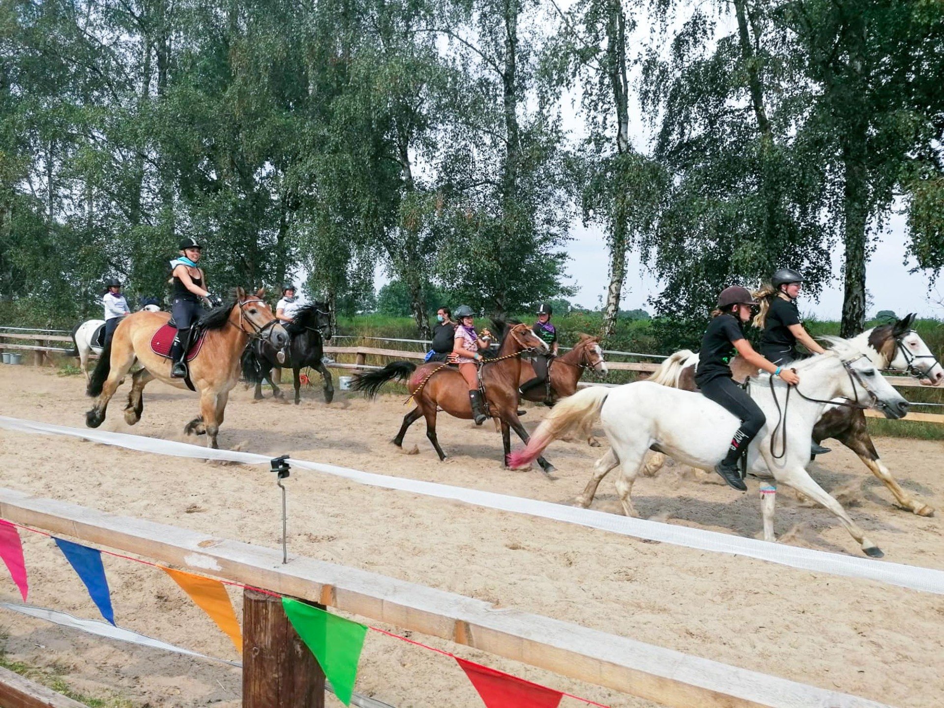 Pferdeshows mit Gästen