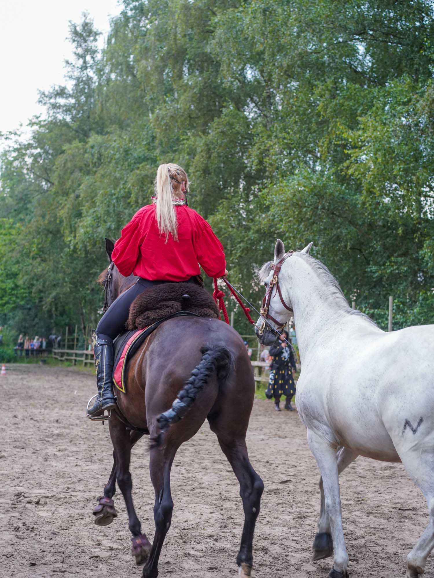 Zwei Pferde mit Reitern auf einem Feldweg, ein Reiter trägt ein rotes Hemd, in der Nähe von Bäumen