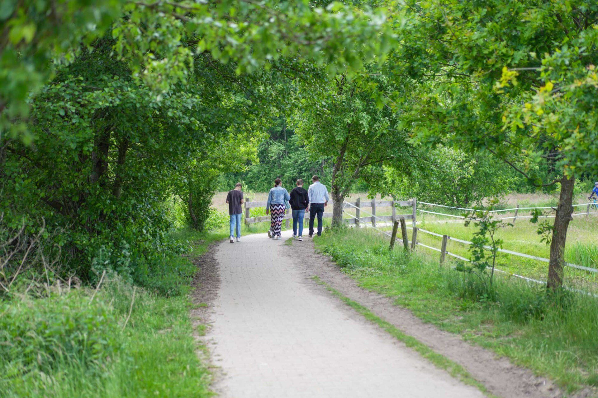 Menschen gehen auf einem Weg unter einem Blätterdach grüner Bäume. Sonniger Tag in der Natur.