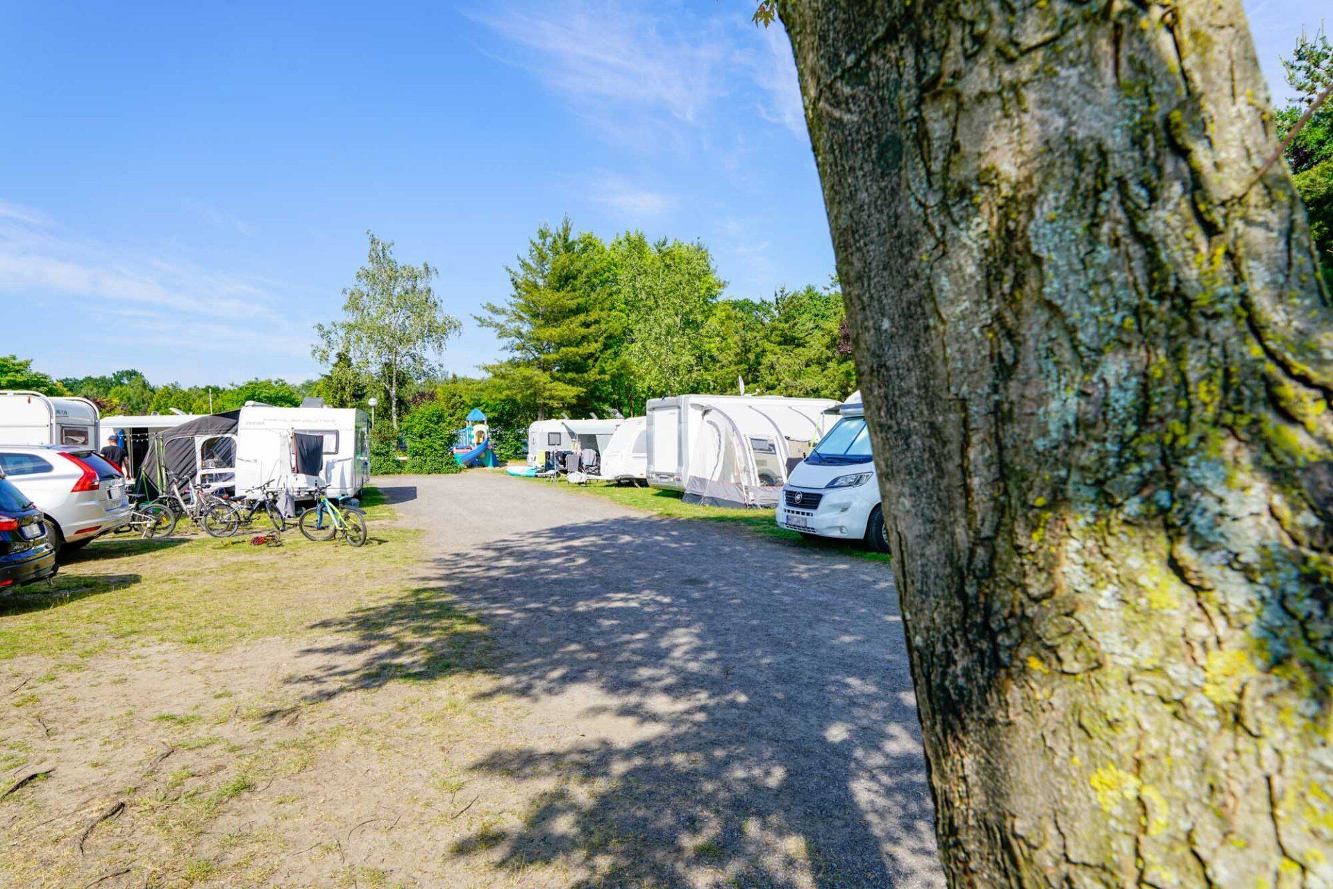 Campingplatz mit Wohnmobilen, Zelten und Autos auf Schotterstraße, Baum im Vordergrund