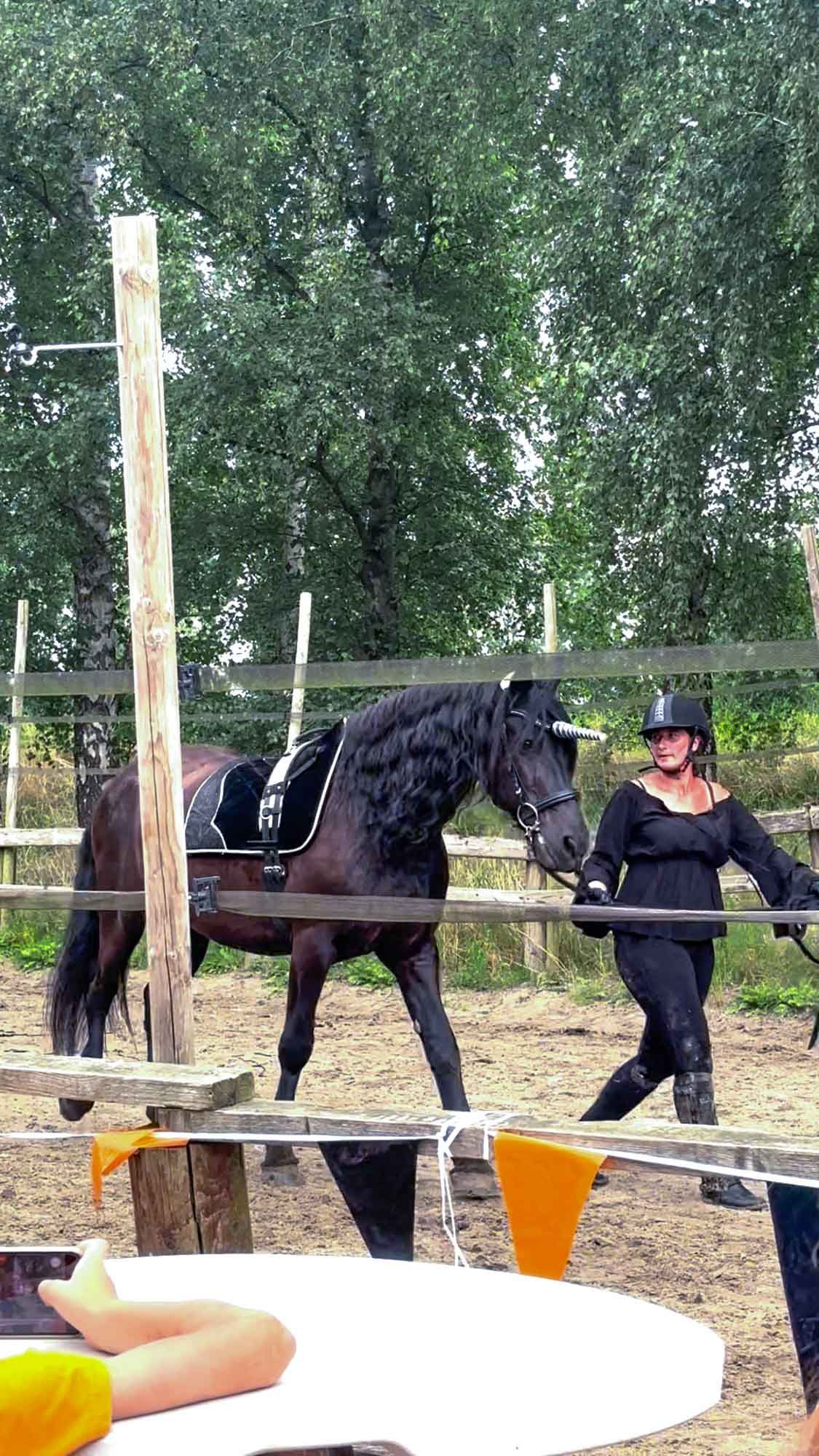 Eine Person führt ein schwarzes Pferd in einem eingezäunten Reitplatz im Freien, im Rahmen der Fantasyshow