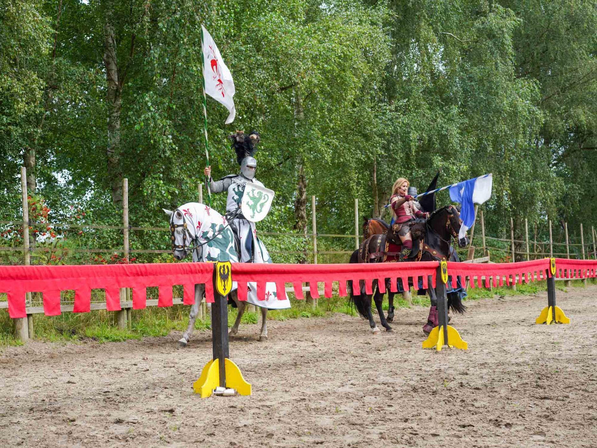 Pferdeshows mit Gästen