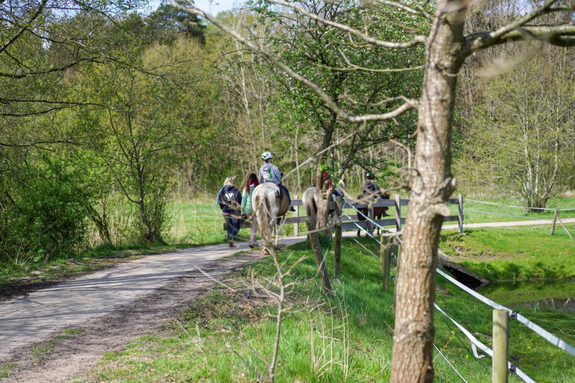 Menschen reiten auf einem Feldweg in der Nähe einer kleinen Holzbrücke