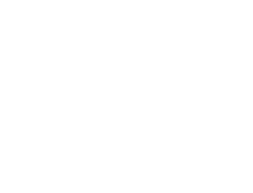 A white background with a few lines on it