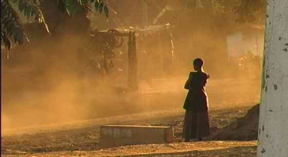 Silhouetted person standing in dusty orange light beside a roadside wall and trees