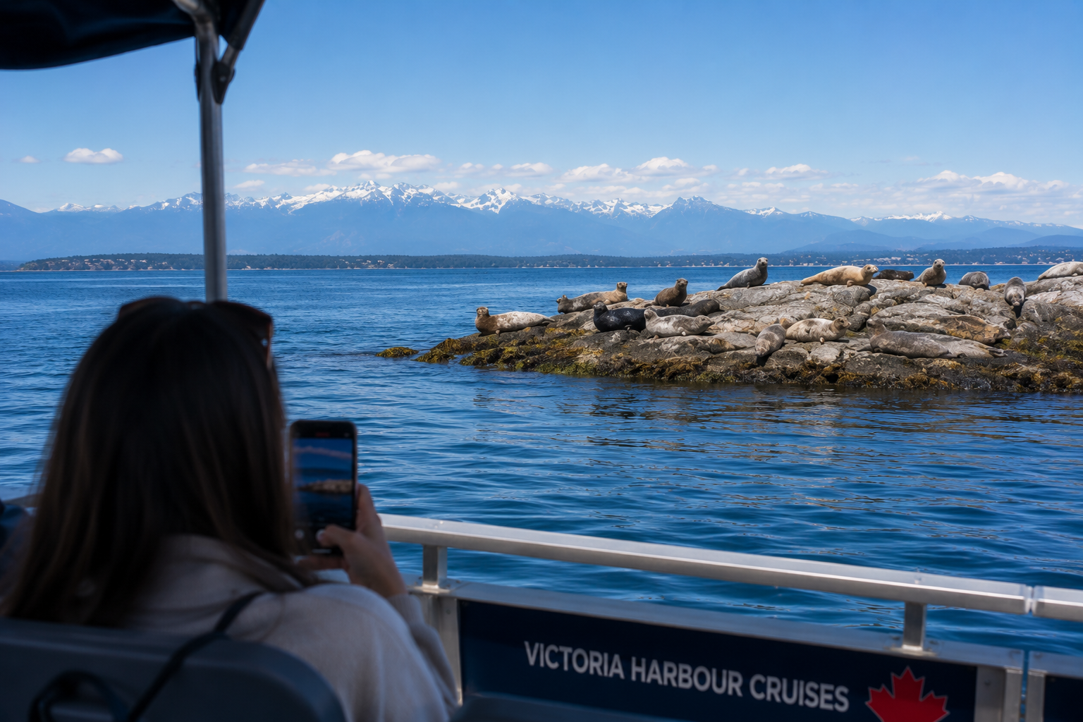 Look out for seals and other wildlife on our Victoria boat tour
