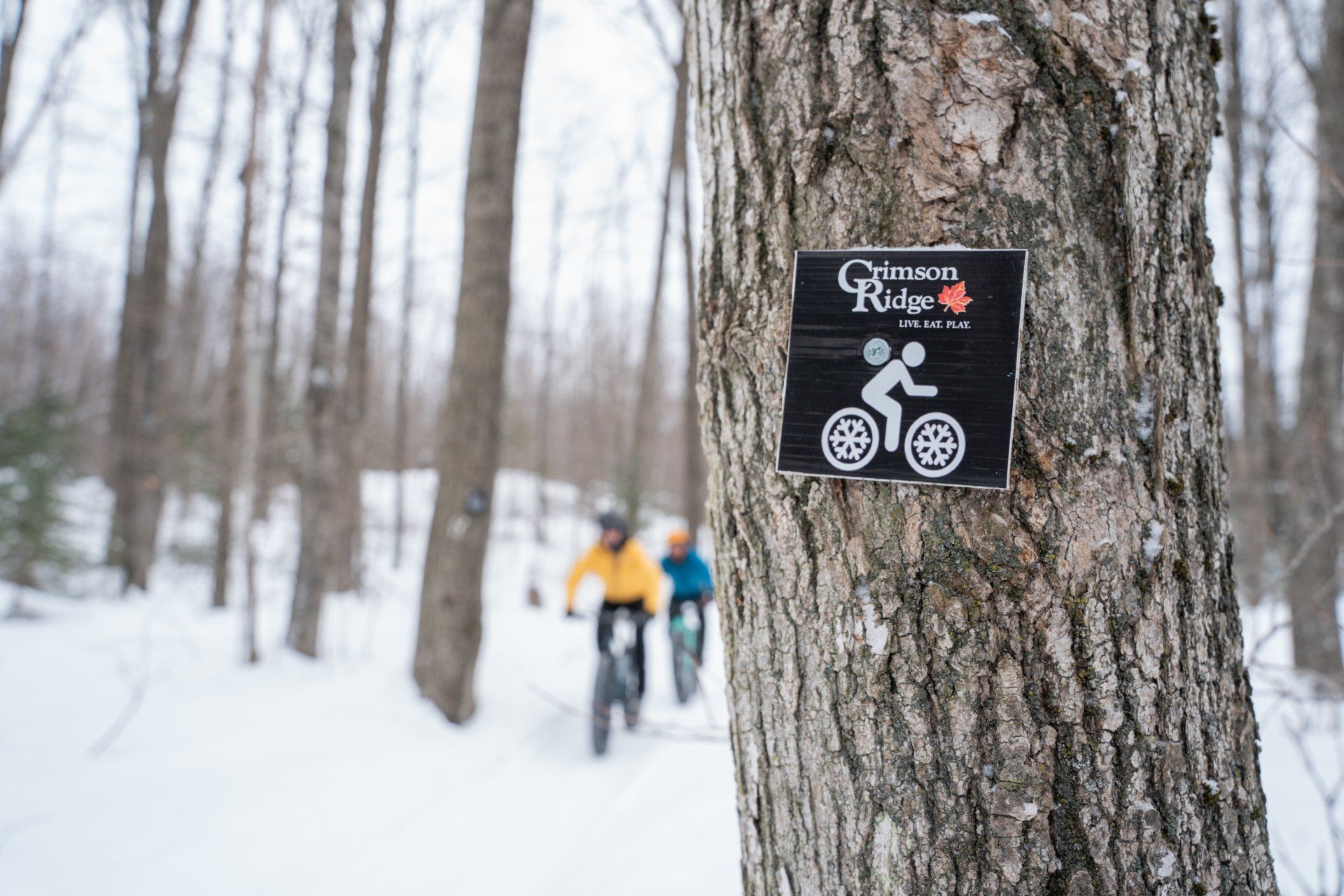 Rock The Ridge Fat Bike Challenge