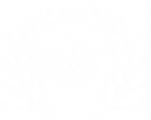 logo-image