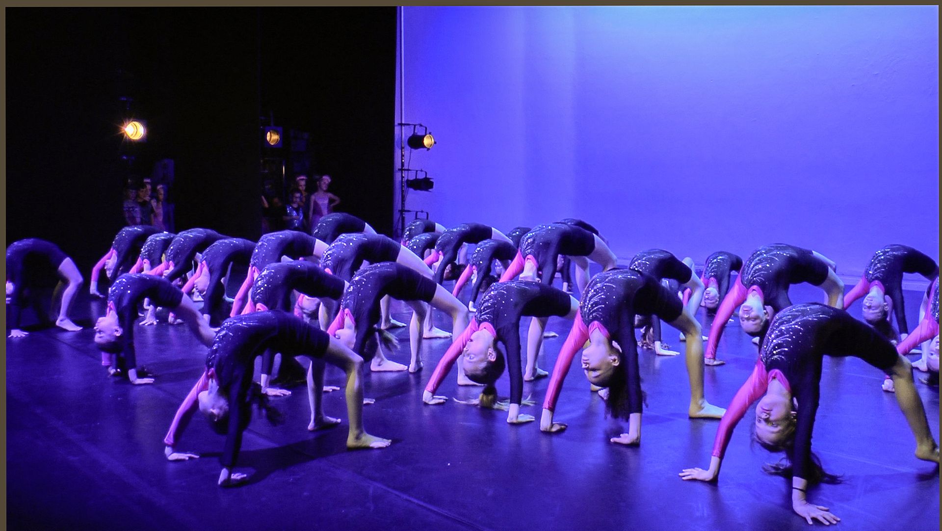 HOME [performfitacademy.com]
