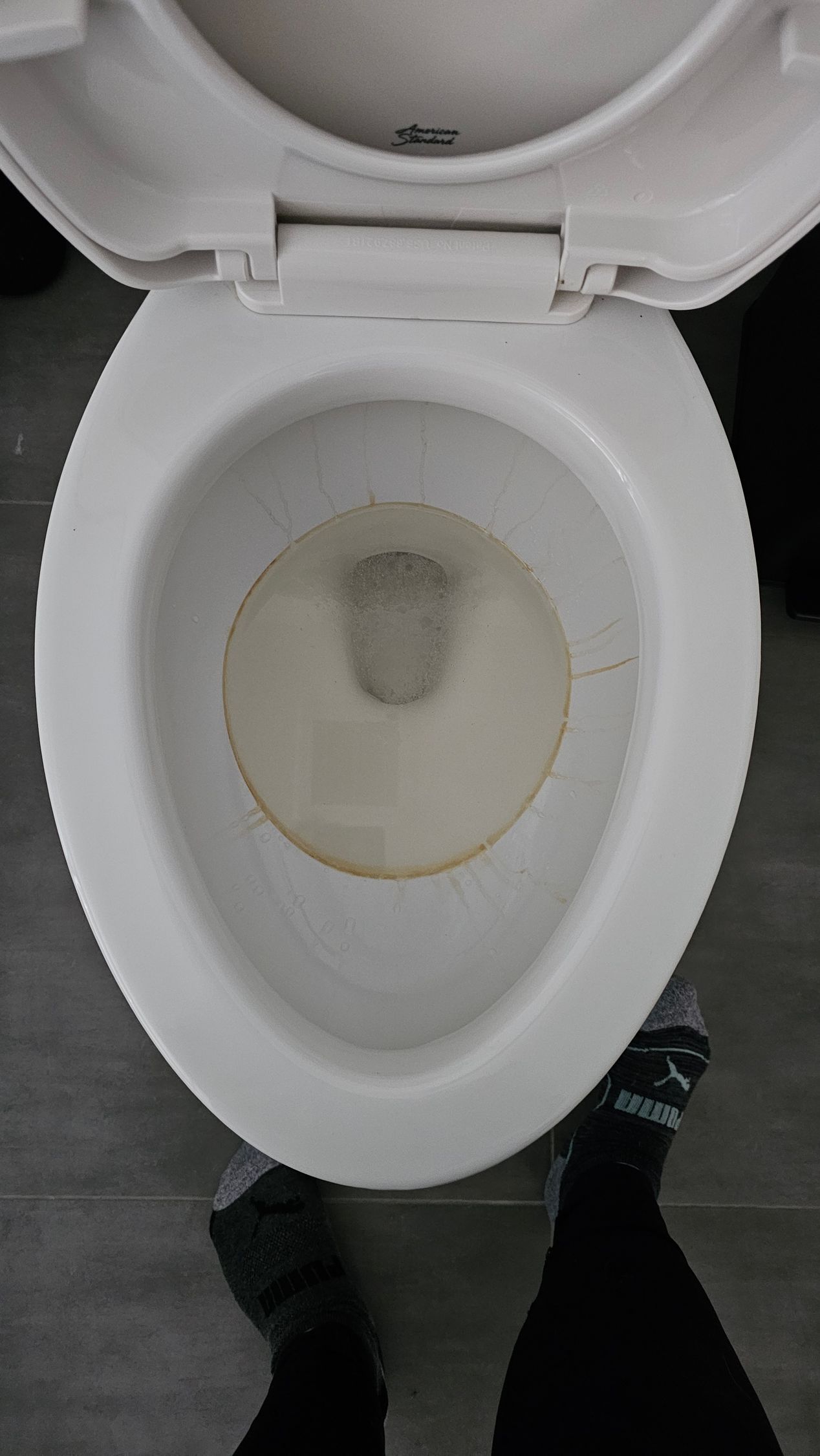 Open toilet bowl with seat up and a small amount of urine in the water.