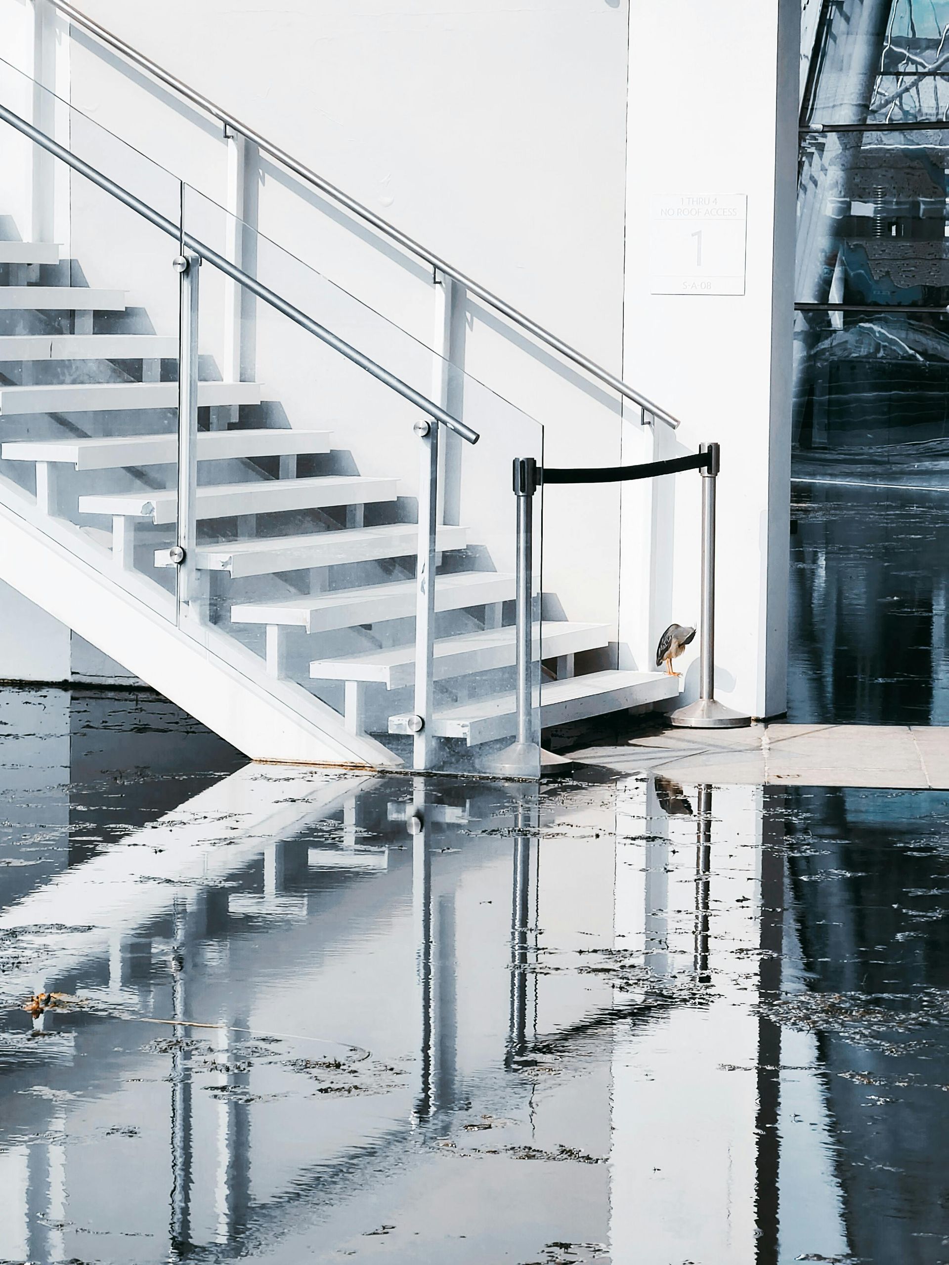 Flooded indoor staircase with metal railings and water reflecting the steps and wall